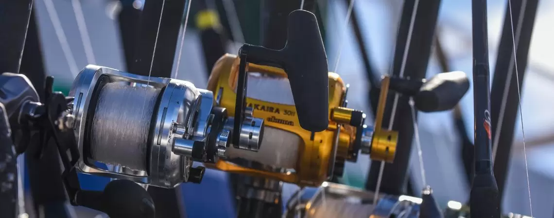 FISHING REELS - Fishing Reels FISHING REELS - Fishing Reels